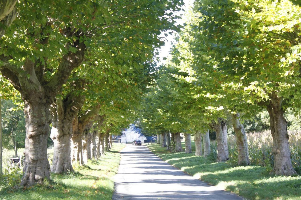Avenue Du Chateau Saint-Just  Buitenkant foto